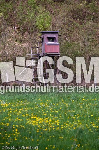 Hochstände (86 von 154).jpg